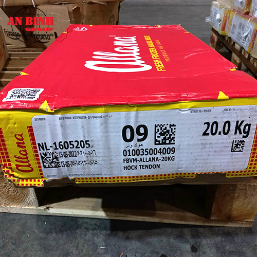 ALLANA – HOCK TENDON (M09)