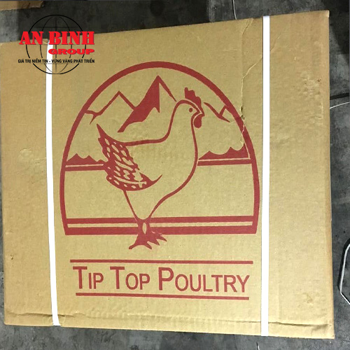 GÀ GÓC TƯ CHỌI TRỐNG TIPTOP