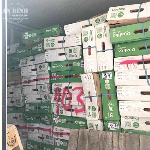CÁNH GÀ KHÚC GIỮA BA LAN