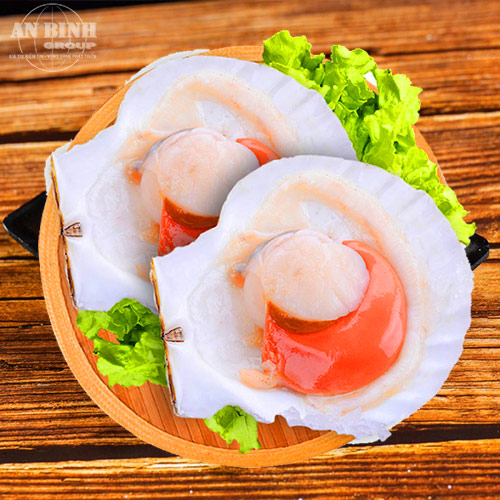 JAPANESE SCALLOPS