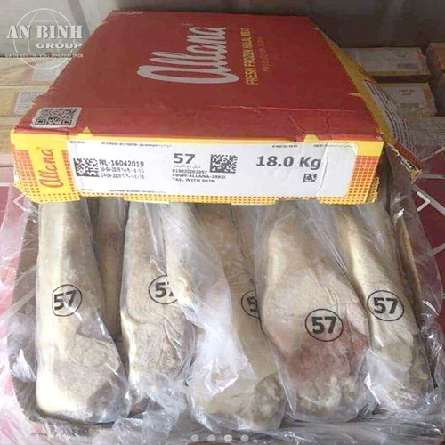 ĐUÔI TRÂU ẤN ĐỘ – M57