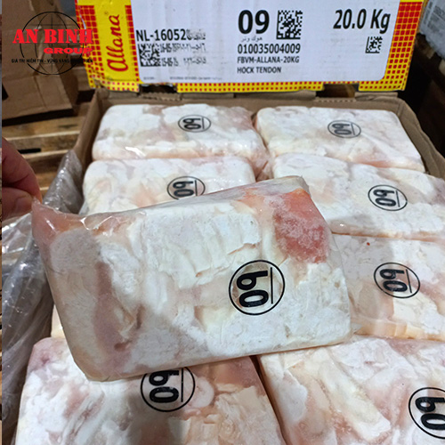 ALLANA – HOCK TENDON (M09)