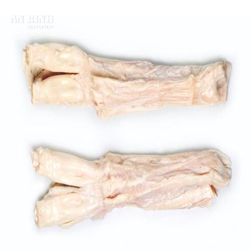 GÂN TRÂU ẤN ĐỘ – M09