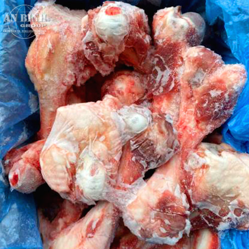 FEMUR BONE